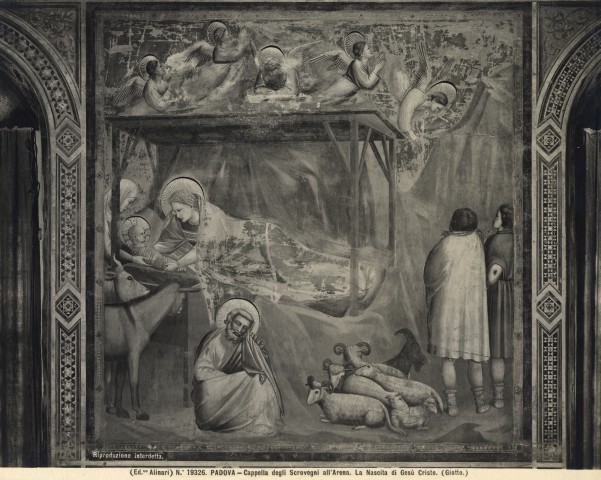 Alinari, Fratelli — Padova - Cappella degli Scrovegni all'Arena. La nascita di Gesù Cristo. (Giotto) — insieme